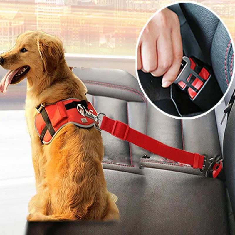 adjustable car seatbelt for pets