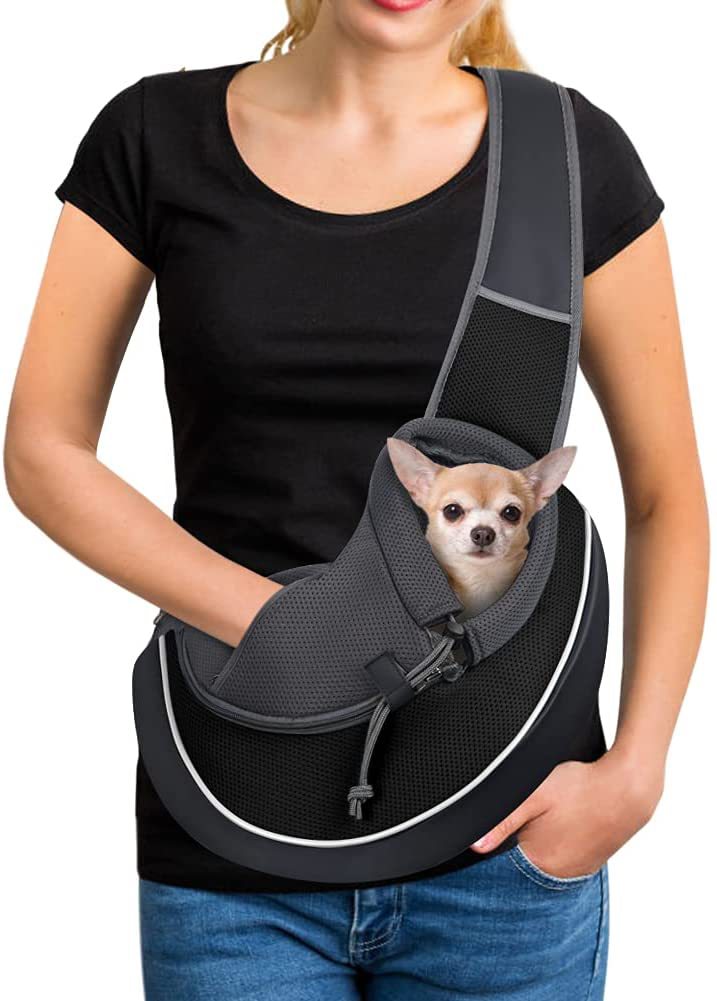 Pet carrying bag